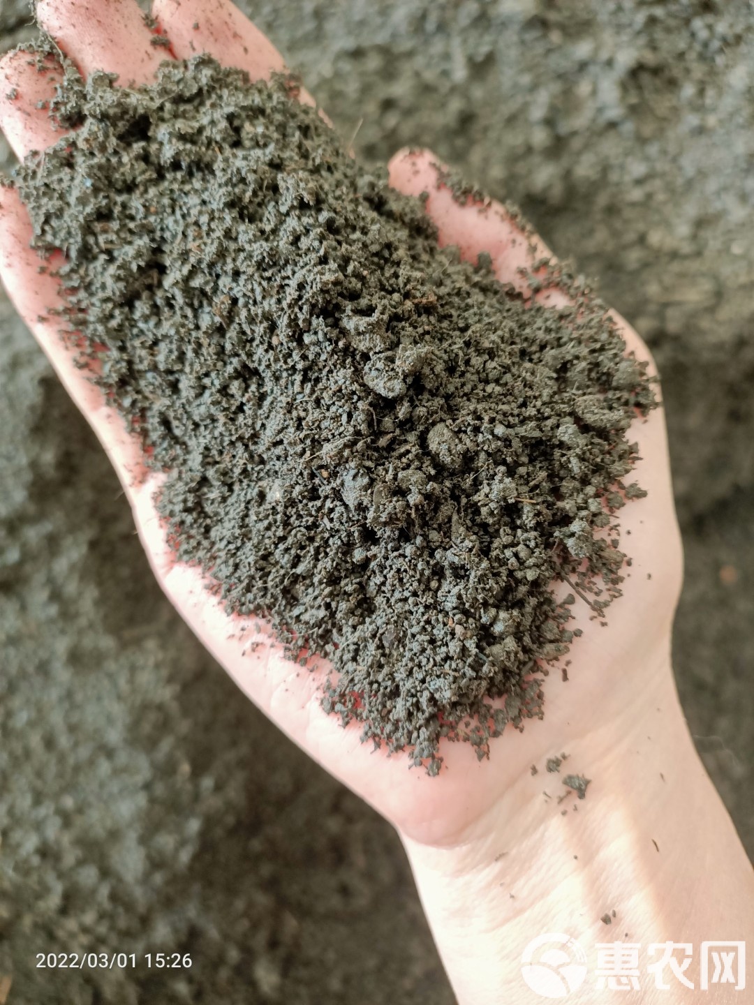 高品质有机肥料的选择 高温发酵纯羊粪与微生物技术的完美融合