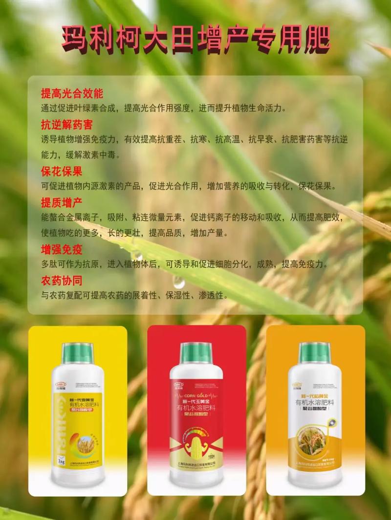 玉黄金有机水溶肥料（聚谷氨酸型） 玉米专用有机肥的科学施用与增产密码